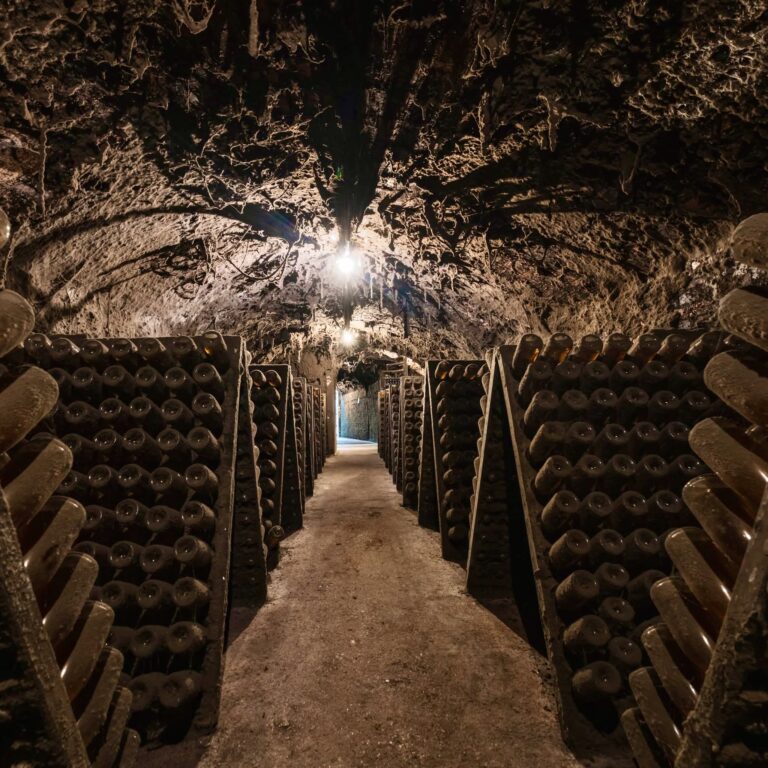 89de390ed8437b9e596f8a24d69a0164